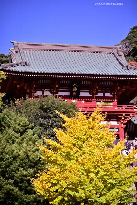 鶴岡八幡宮の本殿・本堂