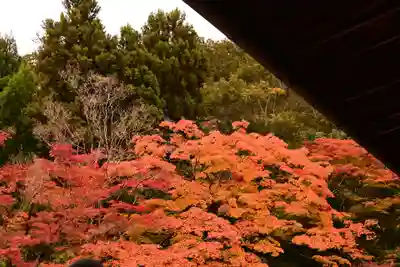 天授庵(京都府)