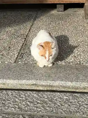 大江神社(大阪府)