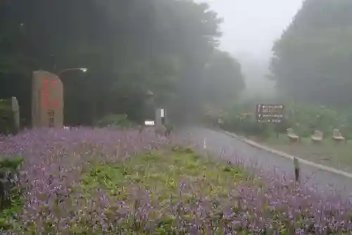 雲辺寺(徳島県)