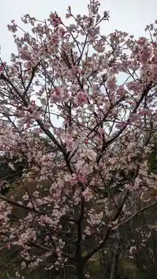 荏柄八幡社(東京都)