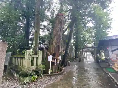 椙本神社(高知県)