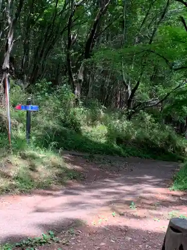 阿夫利神社の周辺