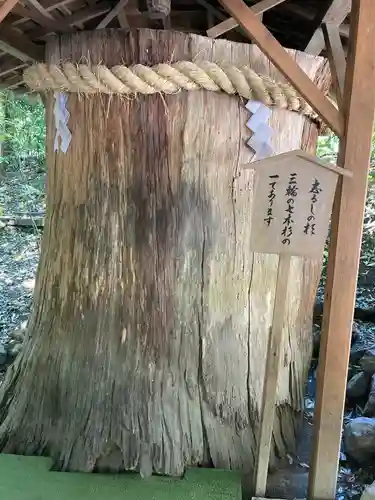 大神神社の自然
