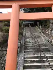 白鬚神社(滋賀県)