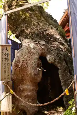 生島足島神社(長野県)