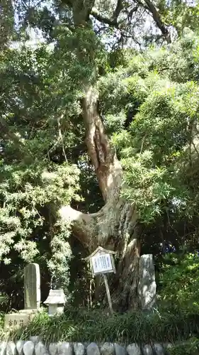 白羽神社の自然