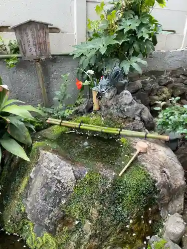 東光寺別院桜ヶ池不動院の{uncategorized: "未分類", other: "その他", undefined: "問題あり", building: "その他建物", grave: "お墓", sacred_gate: "鳥居", guardian: "狛犬", statue: "像", buddha: "仏像", history: "歴史", nature: "自然", garden: "庭園", animal: "動物", pagoda: "塔", temizu: "手水舎", mountain_gate: "山門・神門", sanctuary: "本殿・本堂", subordinate: "末社・摂社", art: "芸術", scenery: "景色", jizo: "地蔵", ema: "絵馬", goshuin: "御朱印", omikuji: "おみくじ", items: "授与品その他", amulet: "お守り", goshuincho: "御朱印帳", eats: "食事", festival: "お祭り", votive_dance: "神楽", shichigosan: "七五三参", wedding: "結婚式", experience: "体験その他", initially: "初詣", around: "周辺", anti_infection: "感染症対策"}