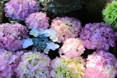 神炊館神社 ⁂奥州須賀川総鎮守⁂の手水舎