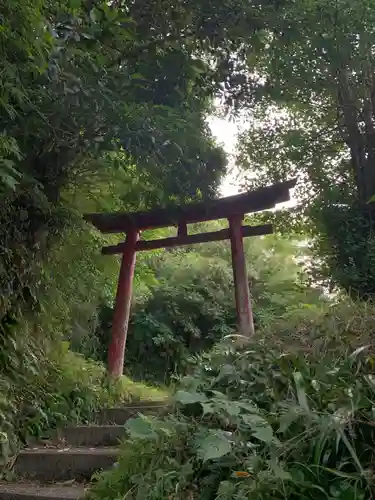 稲荷神社の鳥居