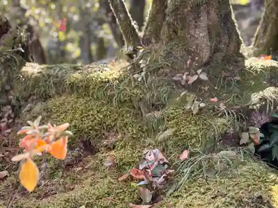 唐招提寺(奈良県)