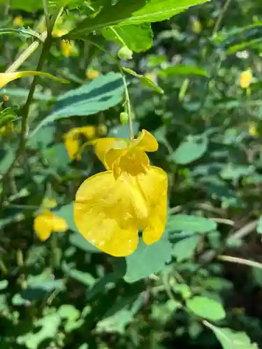 十二山神社(群馬県)
