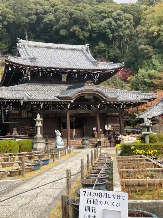三室戸寺(京都府)