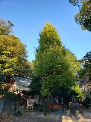 春日神社のその他建物