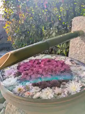 出雲大神宮の{uncategorized: "未分類", other: "その他", undefined: "問題あり", building: "その他建物", grave: "お墓", sacred_gate: "鳥居", guardian: "狛犬", statue: "像", buddha: "仏像", history: "歴史", nature: "自然", garden: "庭園", animal: "動物", pagoda: "塔", temizu: "手水舎", mountain_gate: "山門・神門", sanctuary: "本殿・本堂", subordinate: "末社・摂社", art: "芸術", scenery: "景色", jizo: "地蔵", ema: "絵馬", goshuin: "御朱印", omikuji: "おみくじ", items: "授与品その他", amulet: "お守り", goshuincho: "御朱印帳", eats: "食事", festival: "お祭り", votive_dance: "神楽", shichigosan: "七五三参", wedding: "結婚式", experience: "体験その他", initially: "初詣", around: "周辺", anti_infection: "感染症対策"}