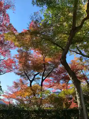 東福禅寺(東福寺)(京都府)