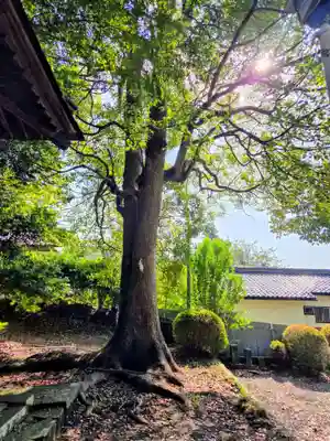 日枝神社(神奈川県)