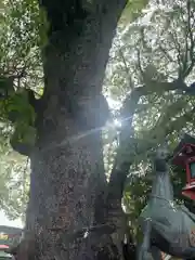 蟻通神社(和歌山県)