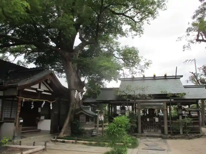 齋宮神社の本殿・本堂