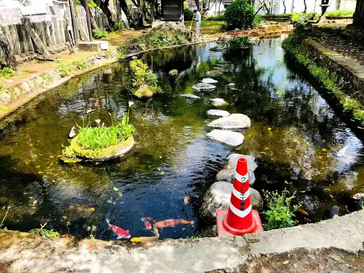 阿蘇神社(熊本県)