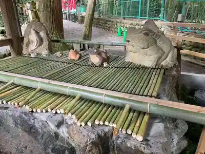 椿大神社の手水舎