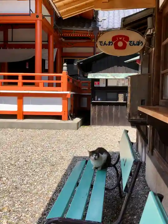 龍泉寺(愛知県)