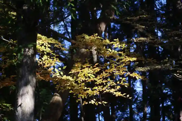 和田神社の自然