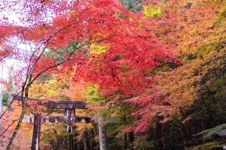 大矢田神社(岐阜県)