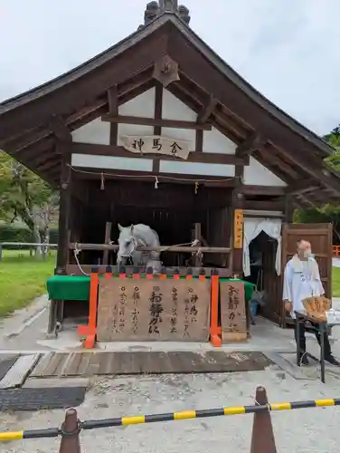 賀茂別雷神社（上賀茂神社）(京都府)