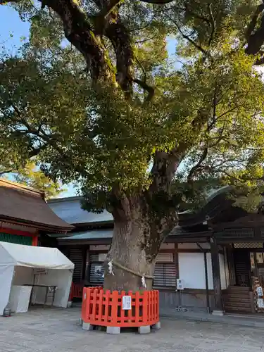 宇佐神宮(大分県)