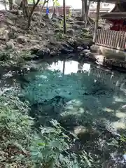 泉神社(茨城県)