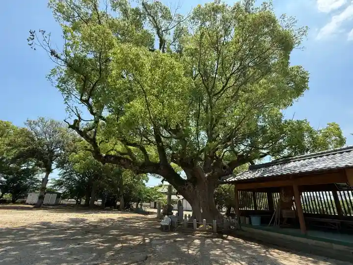 大善寺玉垂宮(福岡県)