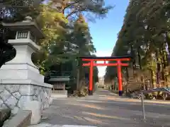 霧島神宮の鳥居