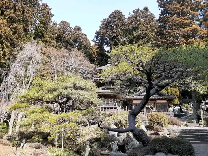 普門寺の{uncategorized: "未分類", other: "その他", undefined: "問題あり", building: "その他建物", grave: "お墓", sacred_gate: "鳥居", guardian: "狛犬", statue: "像", buddha: "仏像", history: "歴史", nature: "自然", garden: "庭園", animal: "動物", pagoda: "塔", temizu: "手水舎", mountain_gate: "山門・神門", sanctuary: "本殿・本堂", subordinate: "末社・摂社", art: "芸術", scenery: "景色", jizo: "地蔵", ema: "絵馬", goshuin: "御朱印", omikuji: "おみくじ", items: "授与品その他", amulet: "お守り", goshuincho: "御朱印帳", eats: "食事", festival: "お祭り", votive_dance: "神楽", shichigosan: "七五三参", wedding: "結婚式", experience: "体験その他", initially: "初詣", around: "周辺", anti_infection: "感染症対策"}