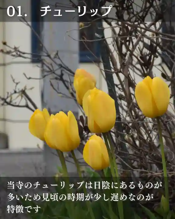 宝光寺(北海道)