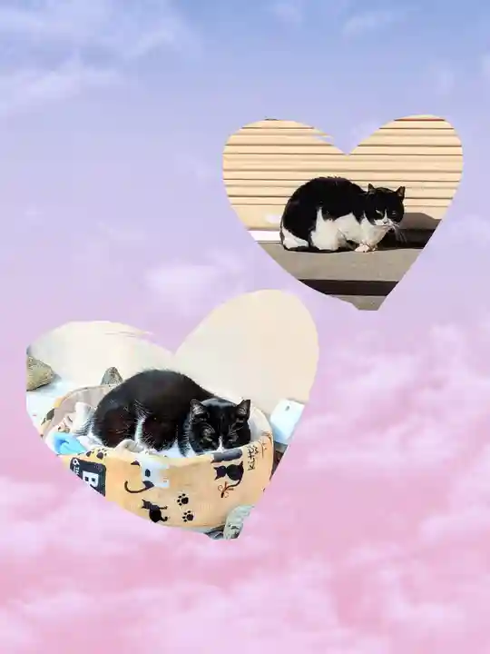 白金氷川神社(東京都)