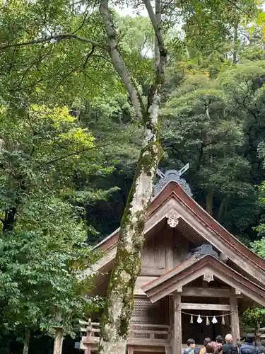 出雲大社(島根県)