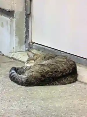 白金氷川神社(東京都)