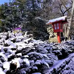 神炊館神社 ⁂奥州須賀川総鎮守⁂の建物その他