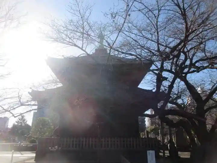 吉祥寺(東京都)