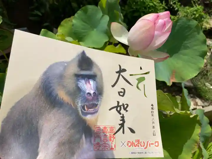 普門寺(切り絵御朱印発祥の寺)の御朱印