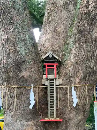 加藤神社(熊本県)