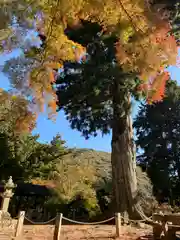 普門寺(切り絵御朱印発祥の寺)(愛知県)