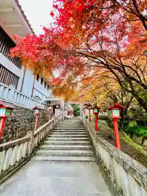 満願寺(栃木県)