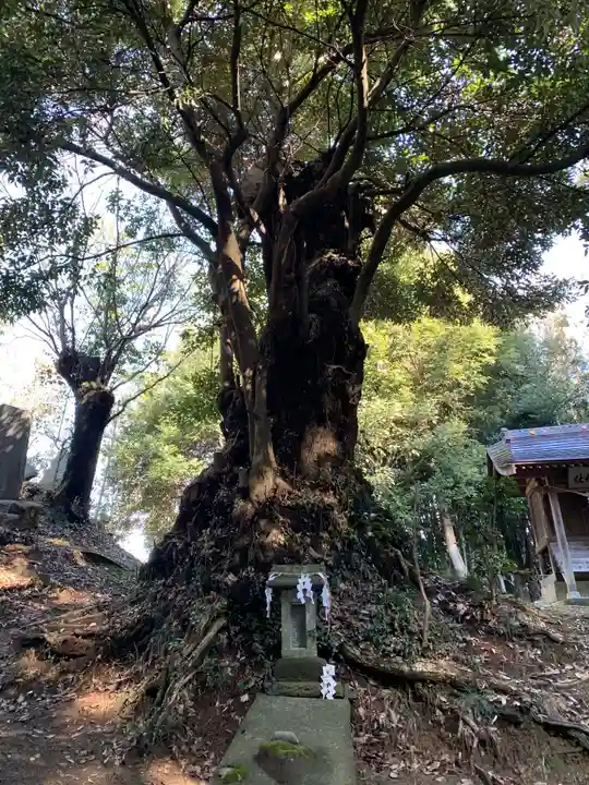 貴船神社(千葉県)