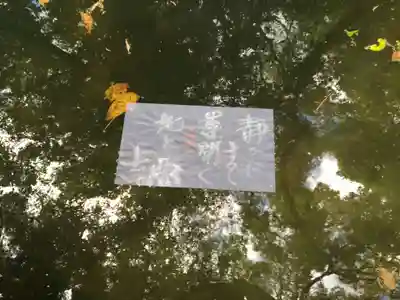 八重垣神社のおみくじ