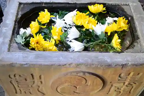 菊名神社の手水舎