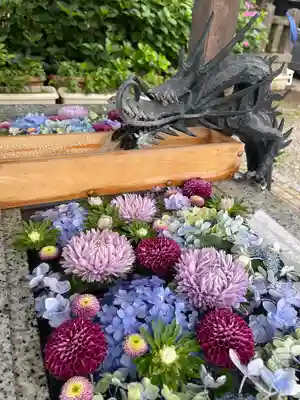 川越八幡宮の手水舎