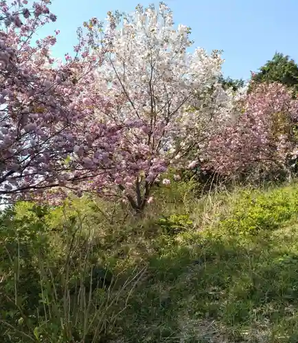 妙立寺(宮城県)