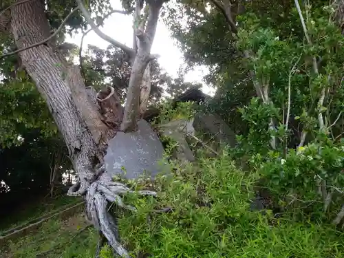 大六天王のその他建物